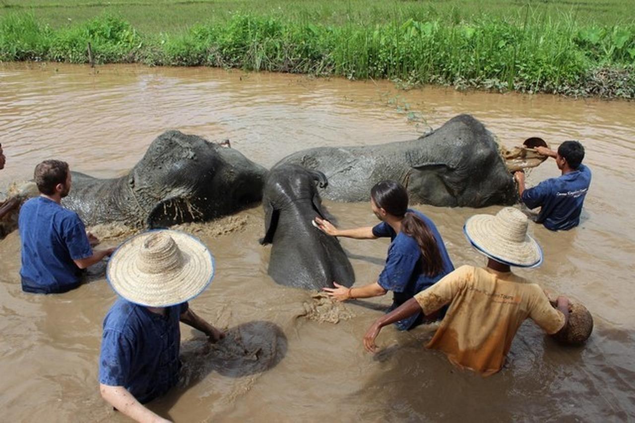 Kalaka Homestay Ban Ban San Sai Buitenkant foto