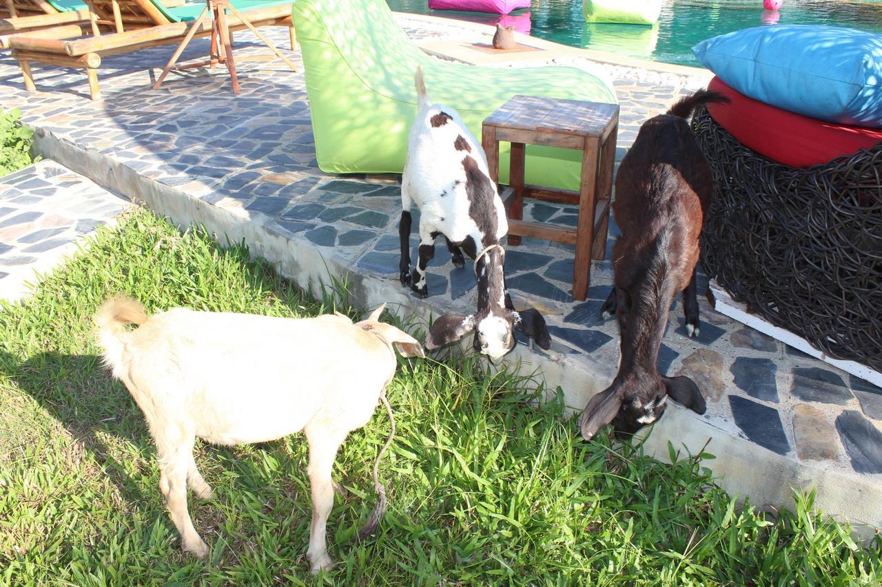 Kalaka Homestay Ban Ban San Sai Buitenkant foto